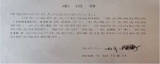 恶势力老赖年收入千万 多级法院判决却成空文 5